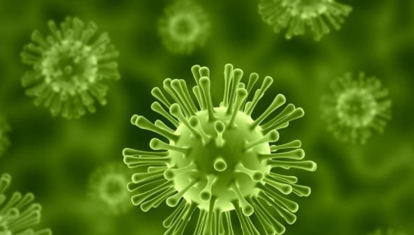 廢水處理活性污泥中包含的微生物 廢水處理活性污泥中包含的微生物