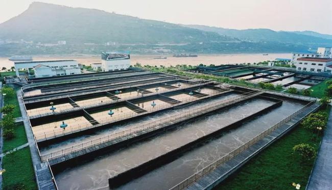 活性污泥凈化污水的過程展示-樂中環保