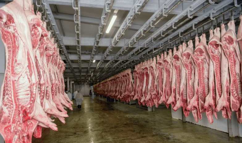 常見的屠宰場設備有哪些(屠宰場設備要多少錢) 常見的屠宰場設備有哪些(屠宰場設備要多少錢)